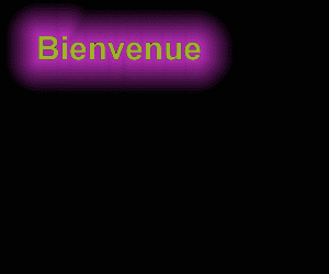 bienvunue chez vous viblog